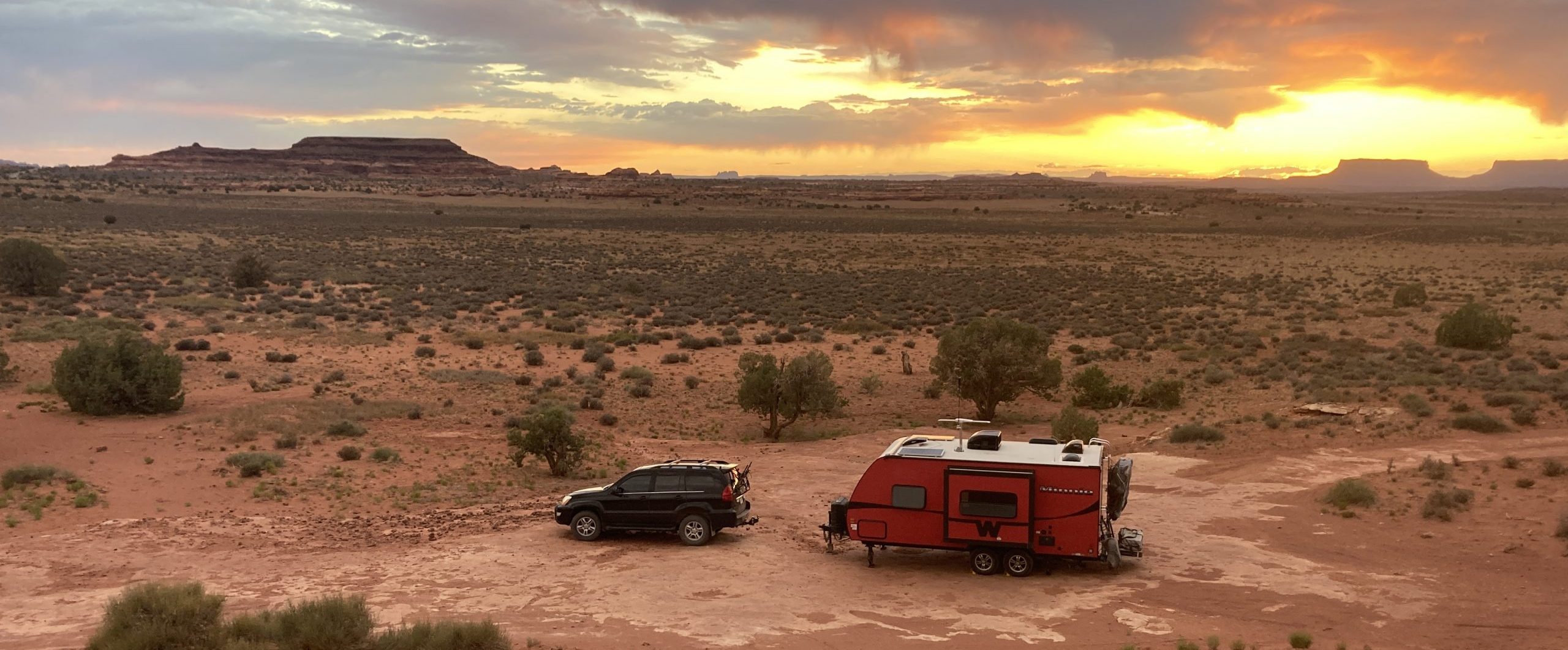 Burning Dead Dinosaurs